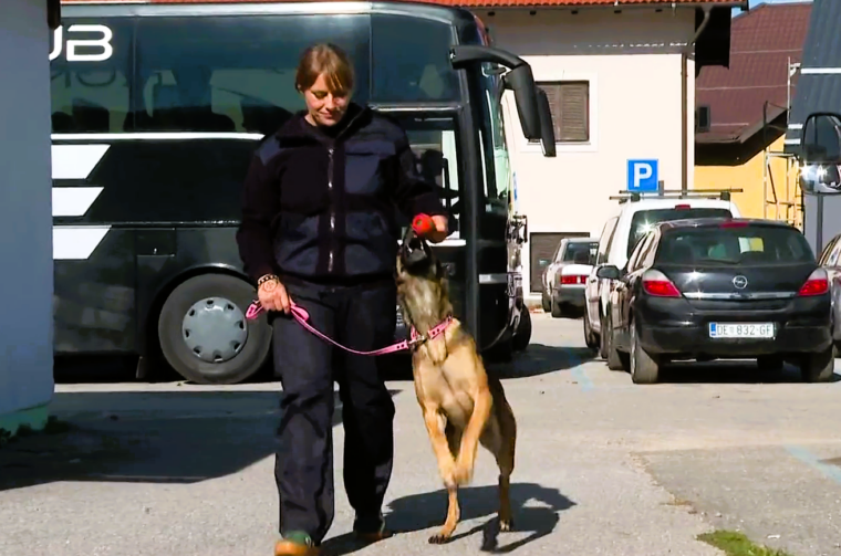 lana franjković pas rtl